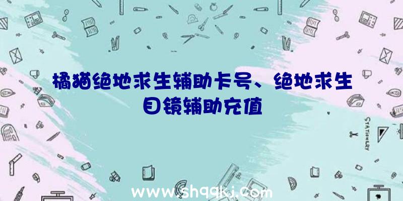 橘猫绝地求生辅助卡号、绝地求生目镜辅助充值