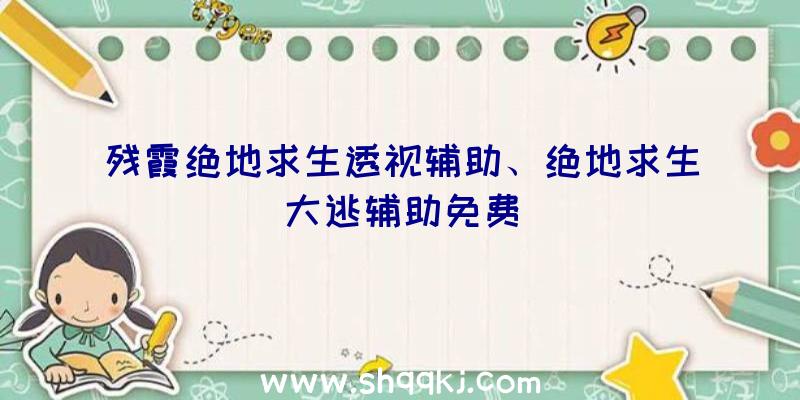 残霞绝地求生透视辅助、绝地求生大逃辅助免费