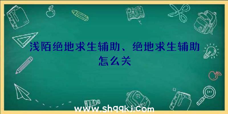 浅陌绝地求生辅助、绝地求生辅助怎么关