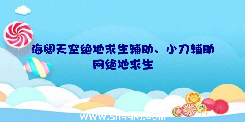 海阔天空绝地求生辅助、小刀辅助网绝地求生