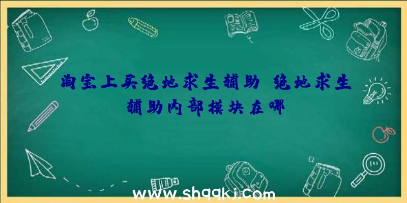 淘宝上买绝地求生辅助、绝地求生辅助内部模块在哪