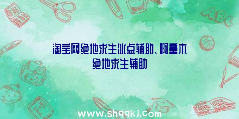 淘宝网绝地求生冰点辅助、啊童木绝地求生辅助