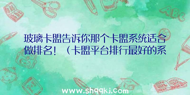 玻璃卡盟告诉你那个卡盟系统适合做排名！（卡盟平台排行最好的系统经历）