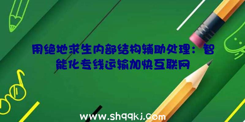 用绝地求生内部结构辅助处理：智能化专线运输加快互联网