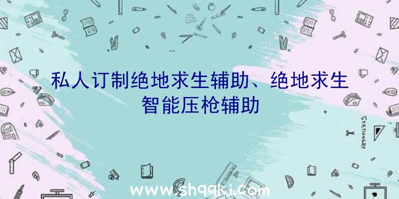 私人订制绝地求生辅助、绝地求生智能压枪辅助