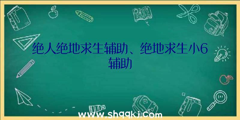 绝人绝地求生辅助、绝地求生小6辅助