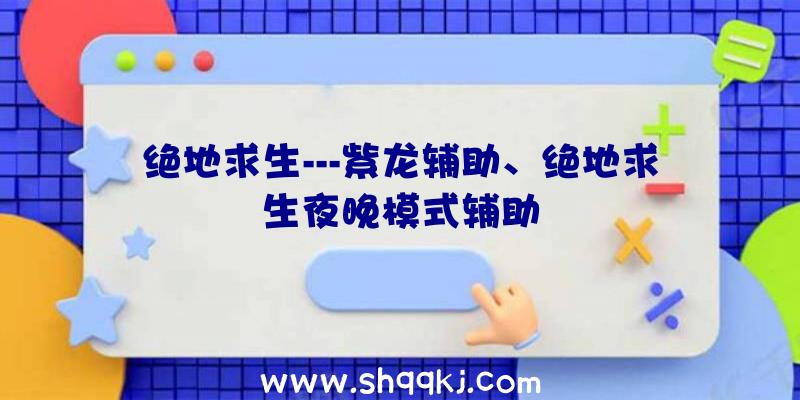 绝地求生---紫龙辅助、绝地求生夜晚模式辅助