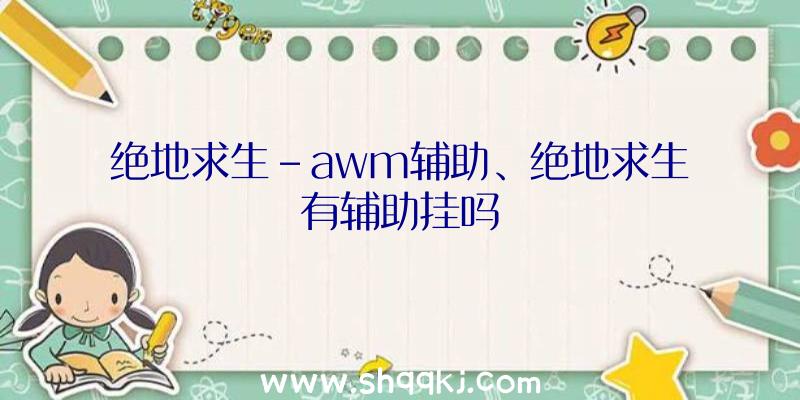 绝地求生-awm辅助、绝地求生有辅助挂吗