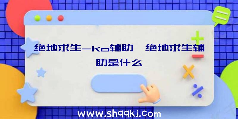 绝地求生-ko辅助、绝地求生辅助是什么