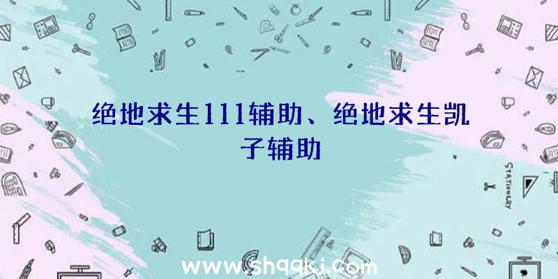 绝地求生111辅助、绝地求生凯子辅助