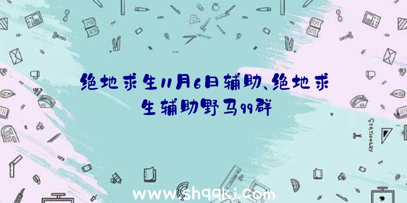 绝地求生11月6日辅助、绝地求生辅助野马qq群