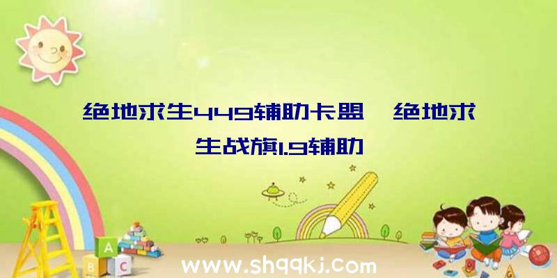 绝地求生449辅助卡盟、绝地求生战旗1.9辅助