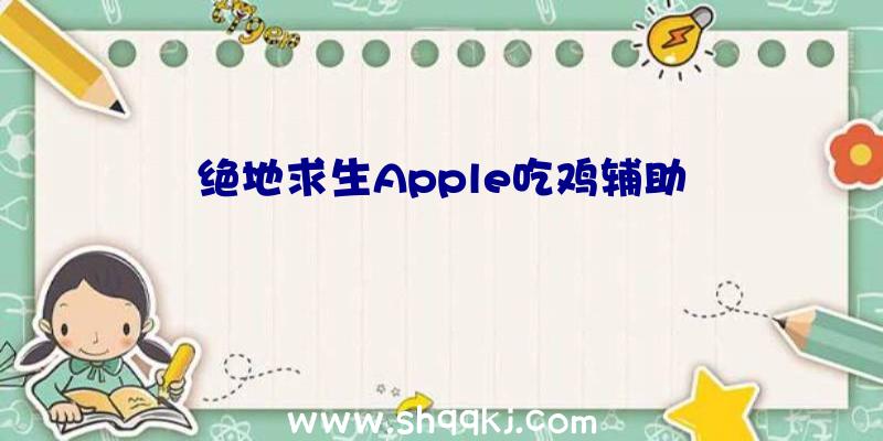 绝地求生Apple吃鸡辅助