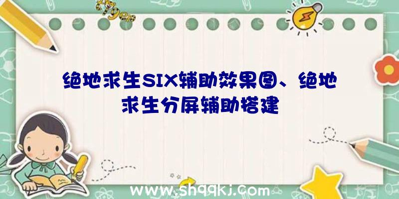 绝地求生SIX辅助效果图、绝地求生分屏辅助搭建