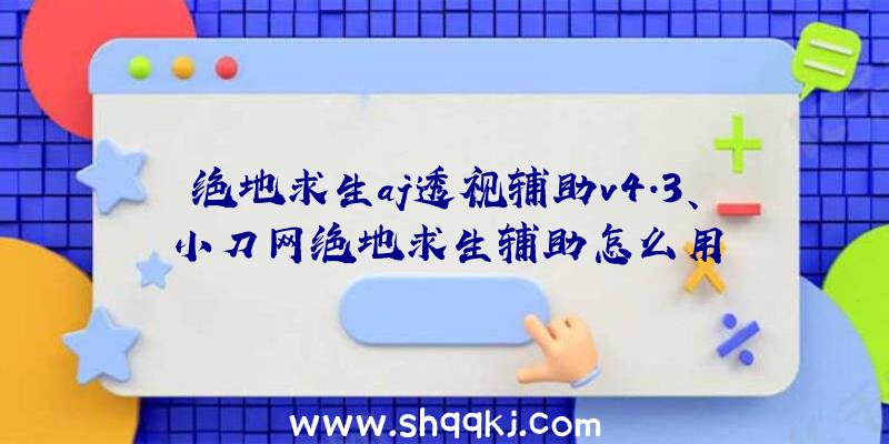 绝地求生aj透视辅助v4.3、小刀网绝地求生辅助怎么用