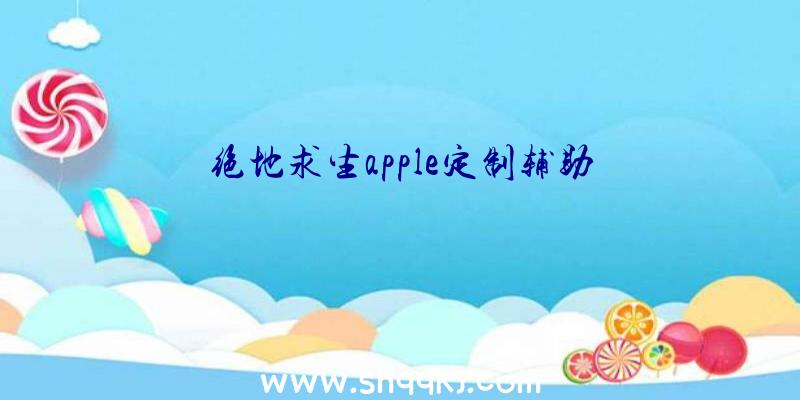 绝地求生apple定制辅助