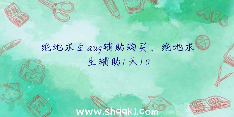 绝地求生aug辅助购买、绝地求生辅助1天10