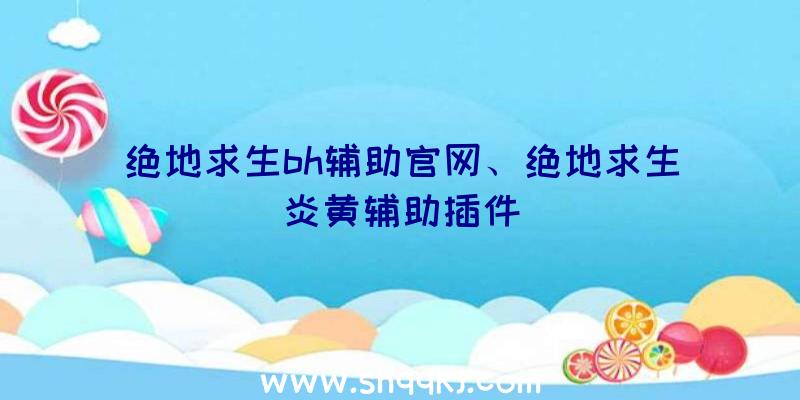 绝地求生bh辅助官网、绝地求生炎黄辅助插件