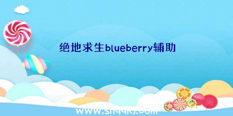 绝地求生blueberry辅助