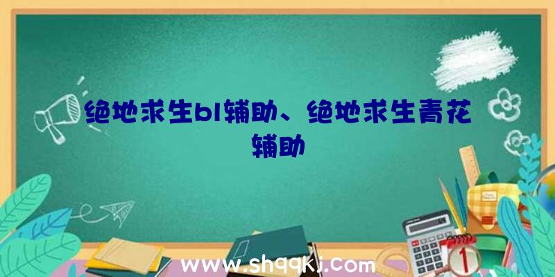 绝地求生bl辅助、绝地求生青花辅助