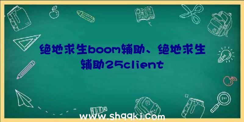 绝地求生boom辅助、绝地求生辅助25client