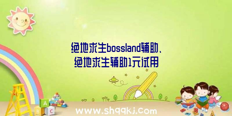 绝地求生bossland辅助、绝地求生辅助1元试用