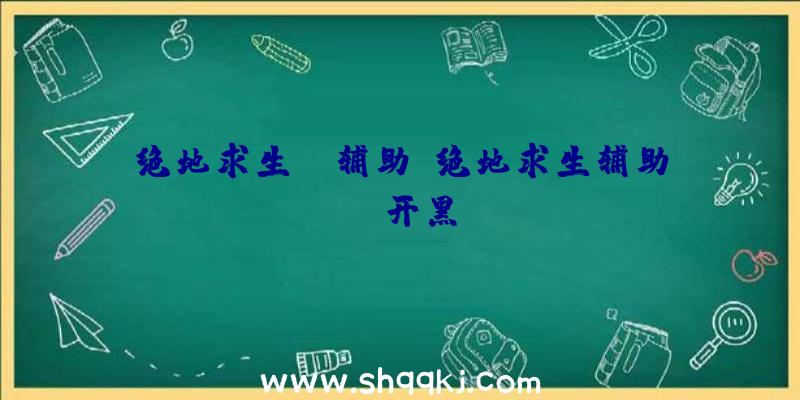 绝地求生bt辅助、绝地求生辅助yy开黑