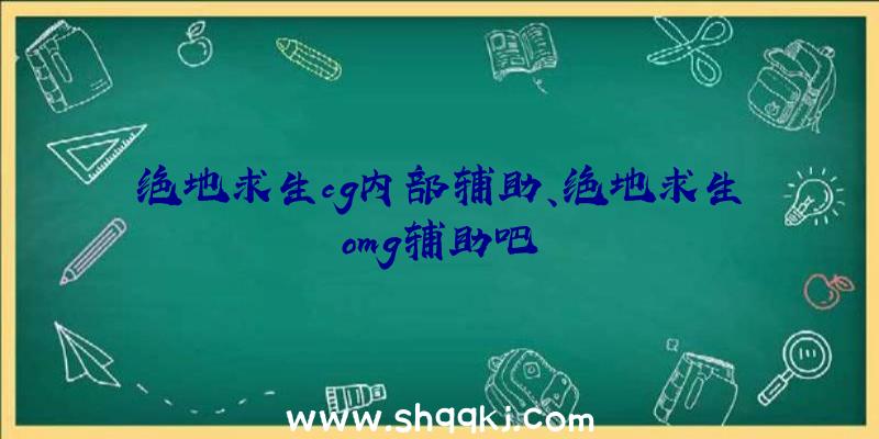 绝地求生cg内部辅助、绝地求生omg辅助吧