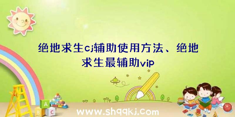 绝地求生cj辅助使用方法、绝地求生最辅助vip