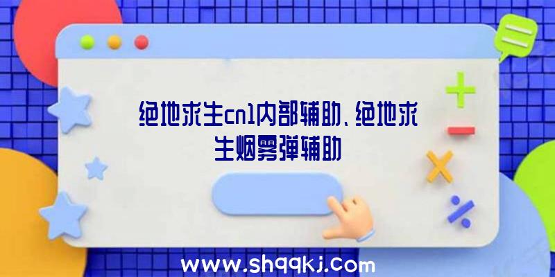 绝地求生cn1内部辅助、绝地求生烟雾弹辅助