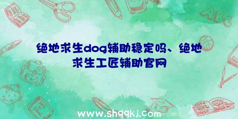 绝地求生dog辅助稳定吗、绝地求生工匠辅助官网