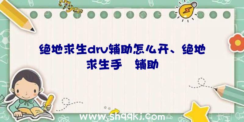 绝地求生drv辅助怎么开、绝地求生手遊辅助