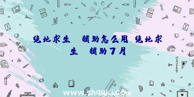 绝地求生dz辅助怎么用、绝地求生pc辅助7月