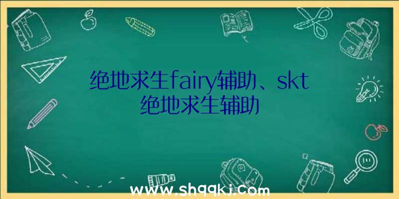 绝地求生fairy辅助、skt绝地求生辅助