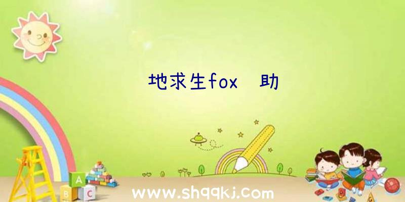 绝地求生fox辅助