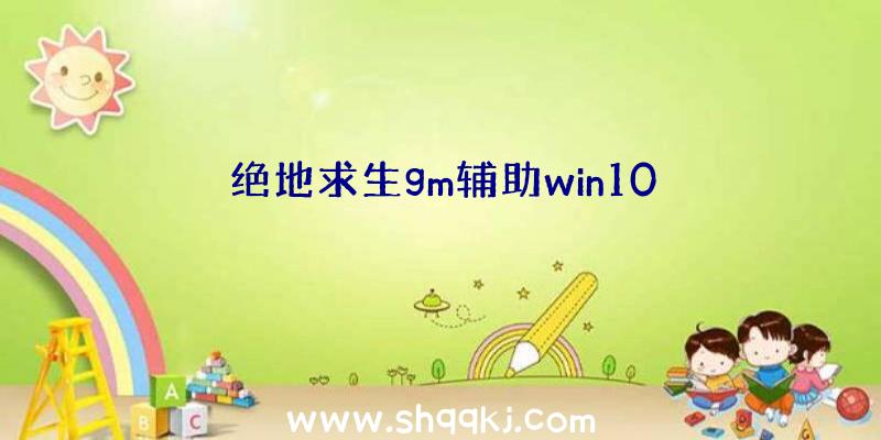 绝地求生gm辅助win10