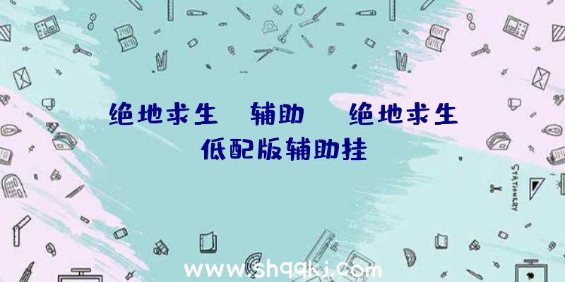 绝地求生gm辅助yy、绝地求生低配版辅助挂