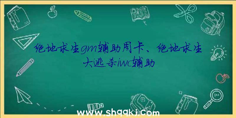 绝地求生gm辅助周卡、绝地求生大逃杀iwc辅助