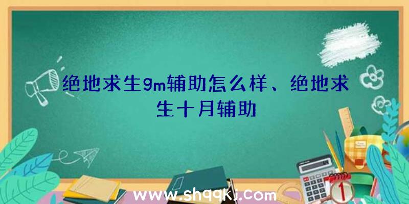 绝地求生gm辅助怎么样、绝地求生十月辅助