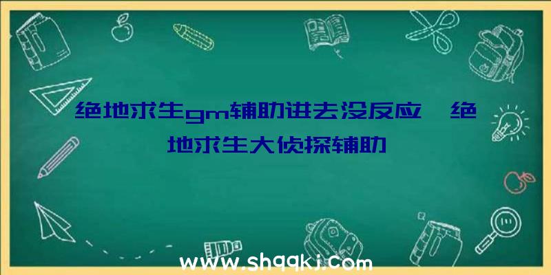 绝地求生gm辅助进去没反应、绝地求生大侦探辅助