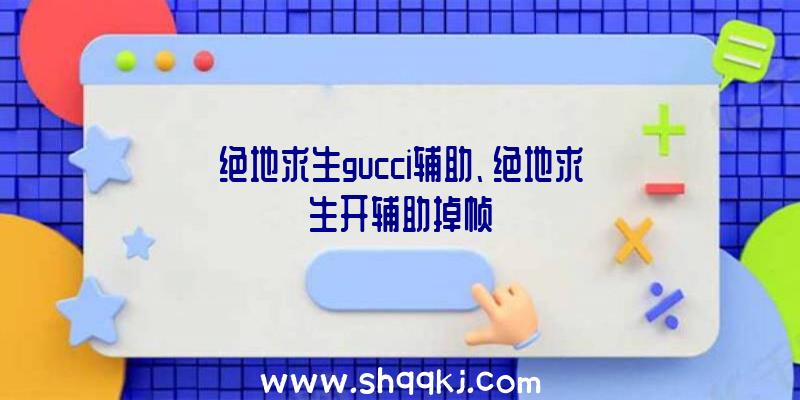 绝地求生gucci辅助、绝地求生开辅助掉帧