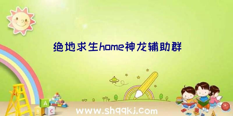 绝地求生home神龙辅助群