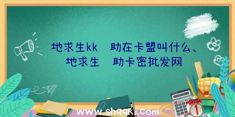 绝地求生kk辅助在卡盟叫什么、绝地求生辅助卡密批发网