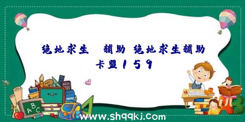 绝地求生ld辅助、绝地求生辅助卡盟159