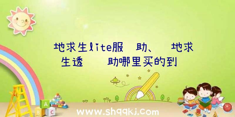 绝地求生lite服辅助、绝地求生透视辅助哪里买的到