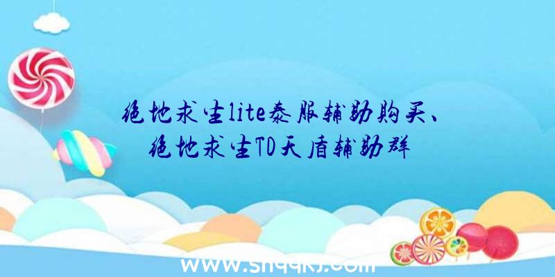 绝地求生lite泰服辅助购买、绝地求生TD天盾辅助群