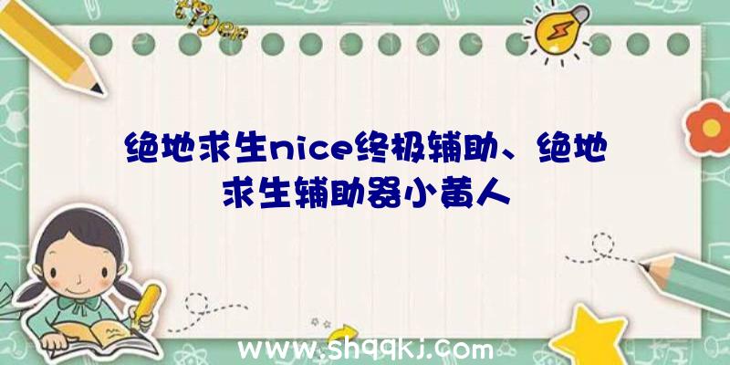 绝地求生nice终极辅助、绝地求生辅助器小黄人