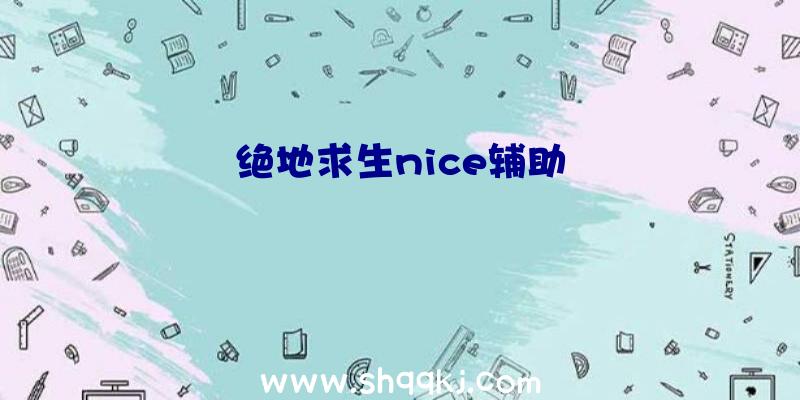 绝地求生nice辅助