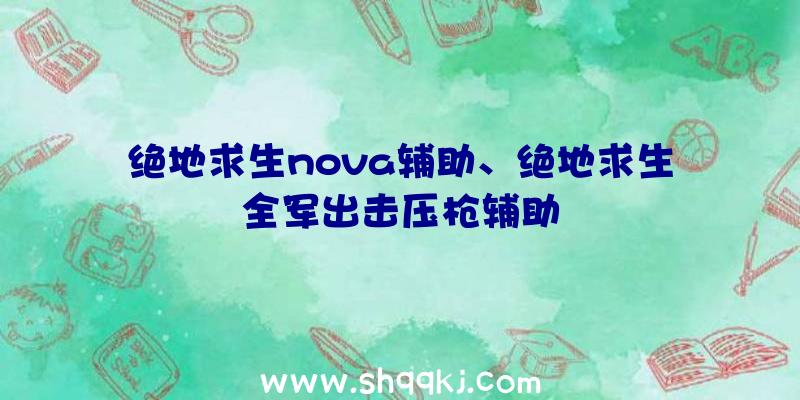 绝地求生nova辅助、绝地求生全军出击压枪辅助