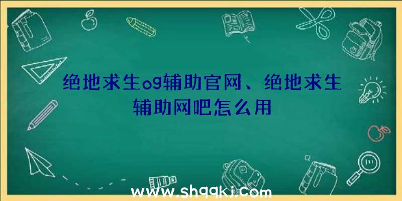 绝地求生og辅助官网、绝地求生辅助网吧怎么用